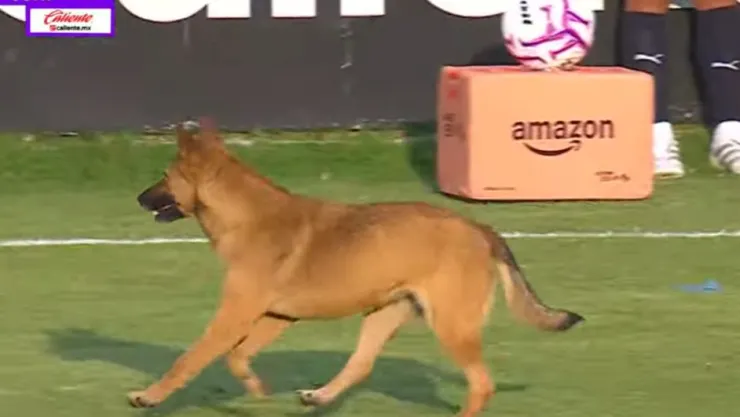Un perrito interrumpió el duelo entre Atlante y Pumas Femenil