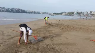 Jornada de limpieza en playas de Acapulco