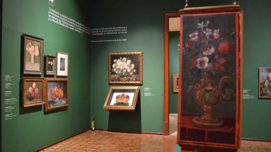 Museo Nacional de San Carlos