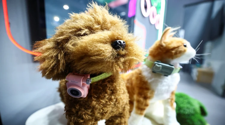 “PetPhone”, collar inteligente para que hables con tu perro o gato