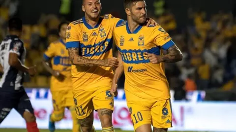 Tigres