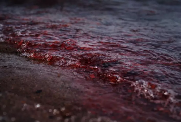 Con sabor a MUERTE: El día que miles bebieron agua contaminada por un cadáver