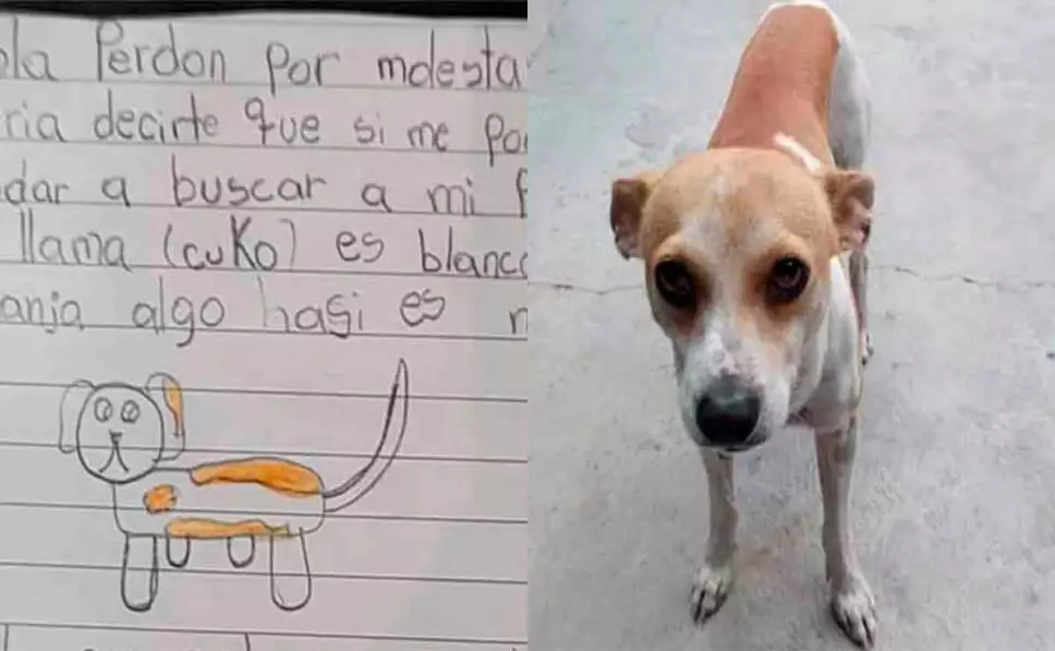 Niña pedía ayuda para encontrar a su perrito Cuco a través de un dibujo