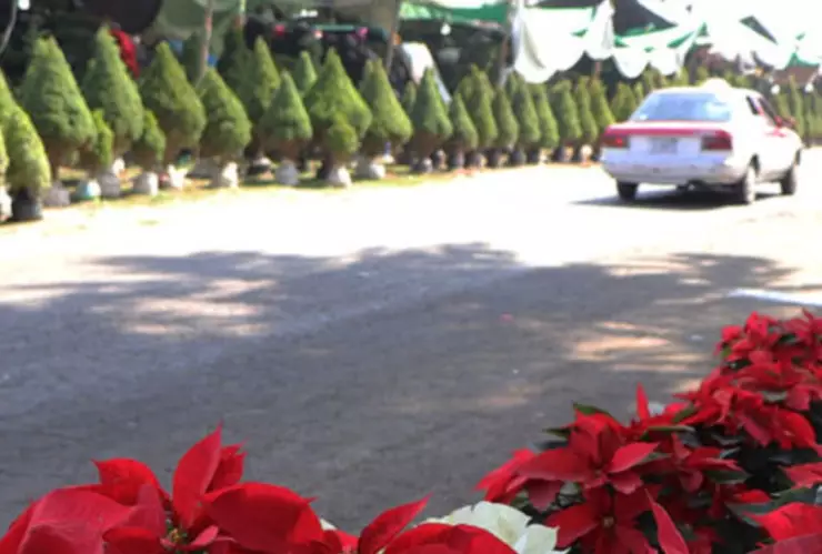 Romería de Navidad en la Central de Abasto 2024