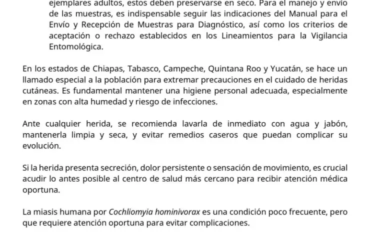 GUSANO BARRENADOR QROO.jpg