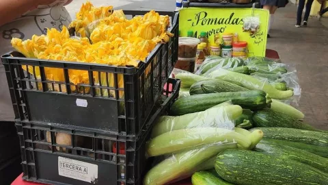 Venta calabaza y de flor de calabaza en un puesto ambulante de Culiacán