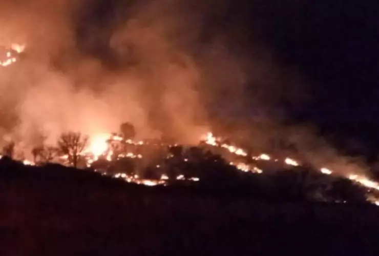 Controlan en 70% incendio en el Cerro del Tepopote en Zapopan ¿cuántos incendios forestales activos hay en Jalisco hoy 26 de marzo