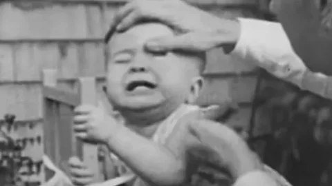 Chimpancé, bebé, psicólogos c.jpg