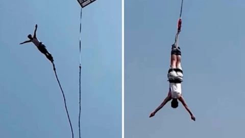 salto bungee