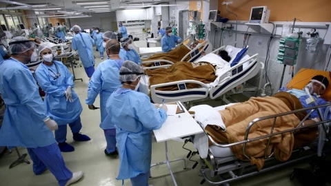 casos hongo negro Guerrero.jpg