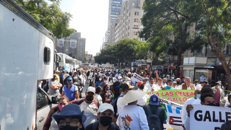 manifestaciones 18 de noviembre cdmx
