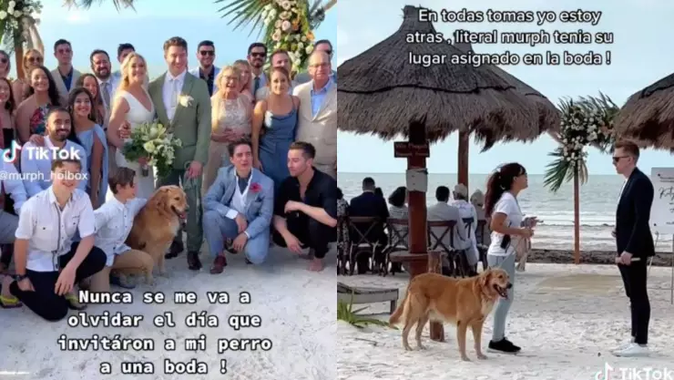 Storytime: Invitan a un perrito a una boda pero no a su dueño