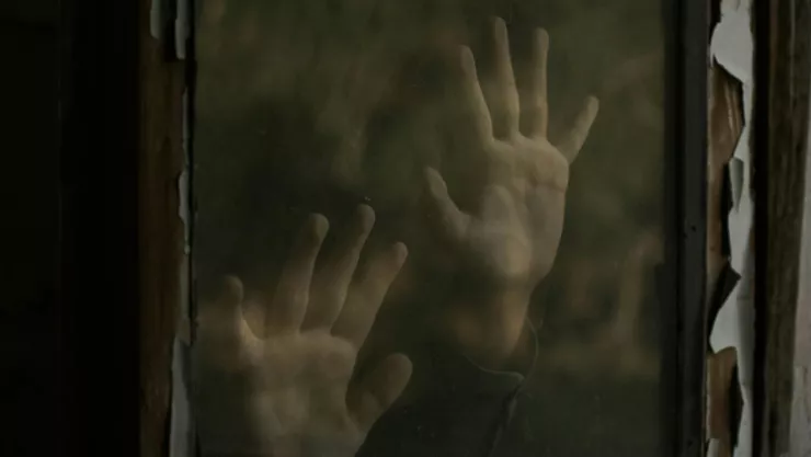 La terrible historia de Genie Wiley