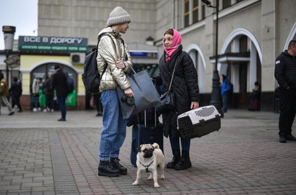 Personas en Ucrania salvan a sus mascotas