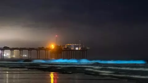 Bioluminiscencia en San Diego.jpg