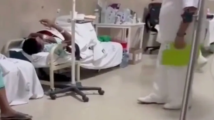 Rata dentro de hospital