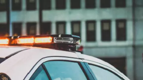 Sujeto roba lechón en Tizimín y lo detienen (FOTO)