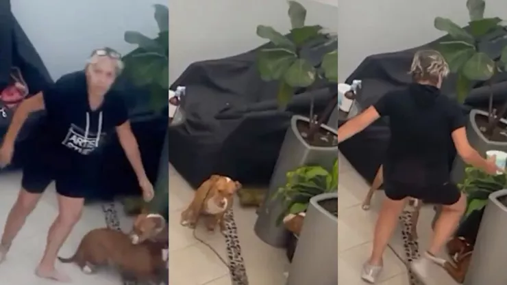 Captan en video a mujer golpeando a dos perritas pitbull en la alcaldía Benito Juárez, CDMX.