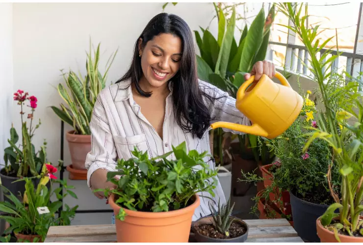 plantas resistentes para jardín
