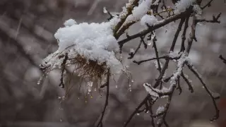 Clima en Morelos hoy