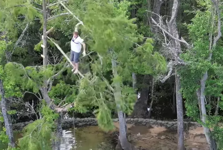 Hombre se cae de un árbol de 20 metros de altura