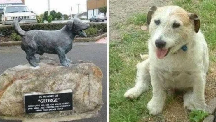 perrito estatua George