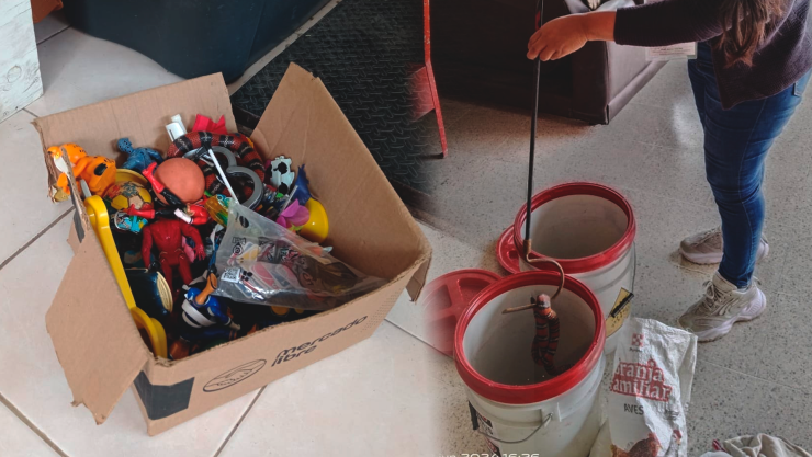 Falso coral estaba entre los juguetes de un niño en domicilio de Tuxtla Gutiérrez