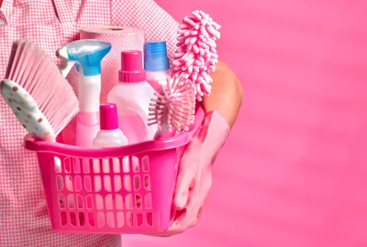 Cuánto pagar empleada doméstica México 2025