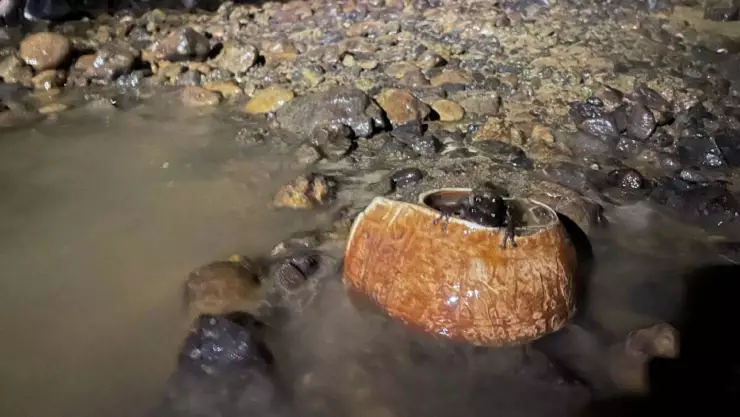 Hallazgo arqueológico en cueva de Tlácoyoc, Guerrero