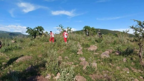 Cae avioneta en Irapuato.