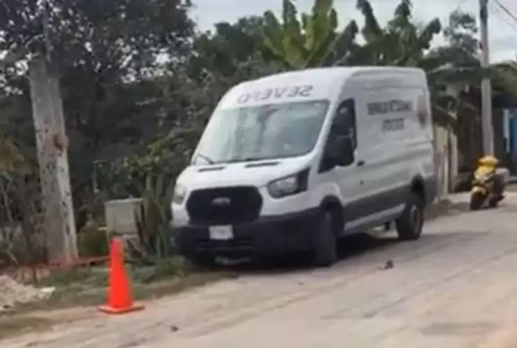 PORTADA perrito envenenado.jpg