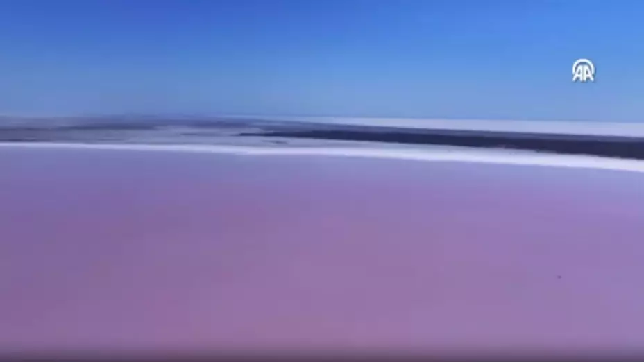 por-qué-lago-salado-turquía-se-tiñe-rosa-fenómeno-que-asombra-mundo-cuerpo