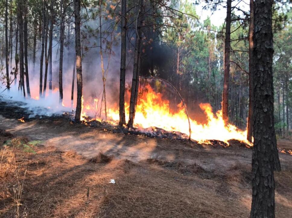 Arde cerro La Joyita en Agostitlán (4).jpeg