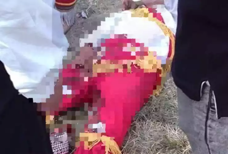 Cae volador de Papantla de 6 metros de altura en feria de Tenango de las Flores