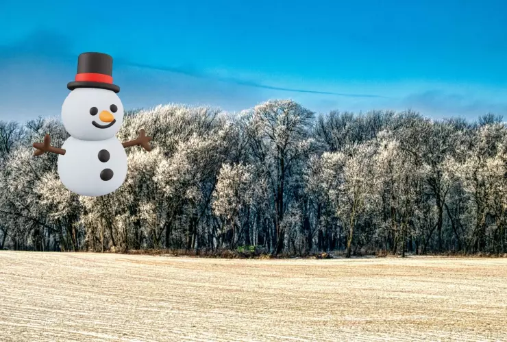 Aire ártico en México 2025 Lista de los estados con temperaturas bajo cero y caída de nieve el 31 de diciembre