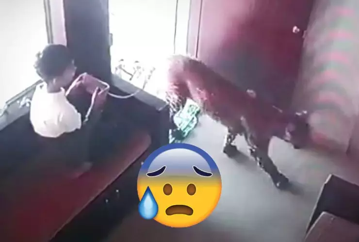 ¡Qué valiente! Niño mantiene la calma y logra encerrar a un leopardo en India