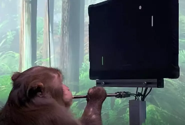 mono neuralink pong .jpg