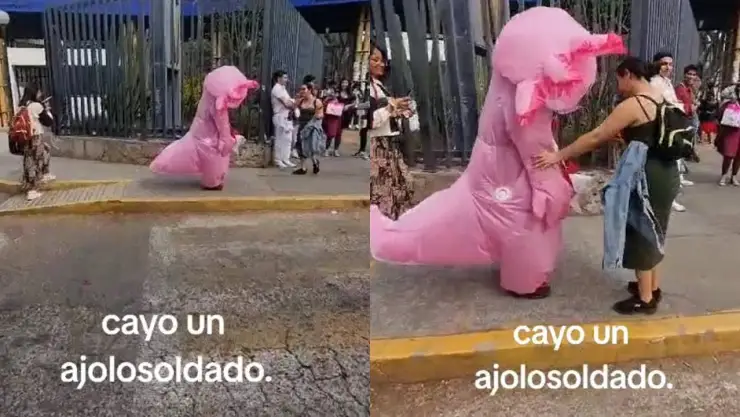 ¡Cayó el ajosoldado! Joven se viste de ajolote para confesar su amor y es rechazado