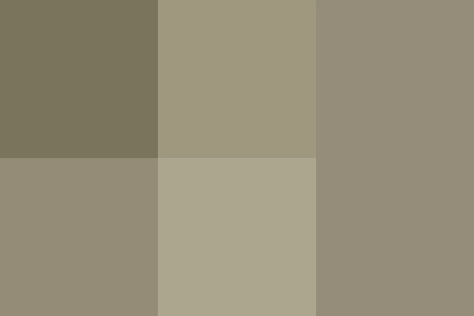 3 detenidos por protestar durante misa del Papa el Cuba