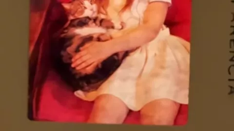 Captura de pantalla 2024-11-09 085350.png