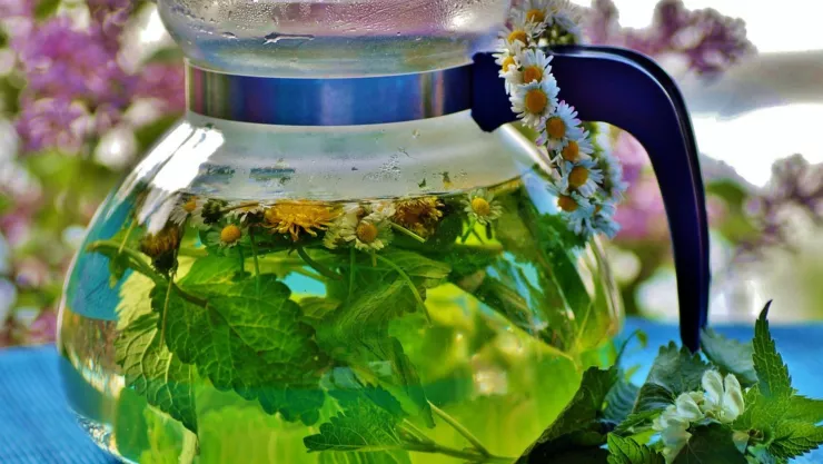 Rejuvenece tu piel con este té que debes añadir a tu dieta