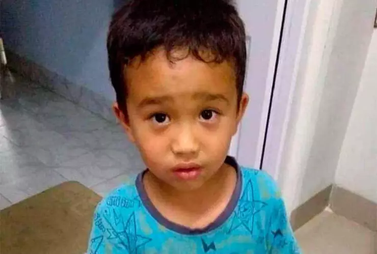 Niño utiliza sus ahorros para salvar a pollito que atropelló