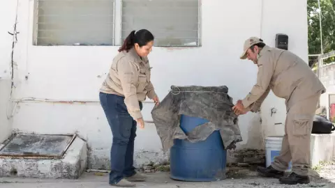 Recomendaciones que hace SESA para prevenir el dengue en Quintana Roo.jpg