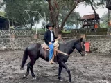 dia mundial de animales de la granja.jpg