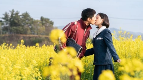 Si la vida te da mandarinas