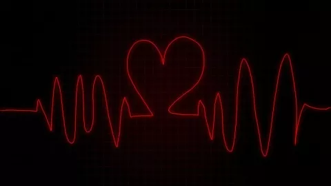 /estilo-de-vida/cuales-son-3-especias-cuidan-salud-corazon