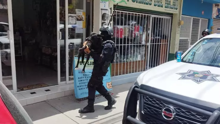 Perrita rescatada en Celaya