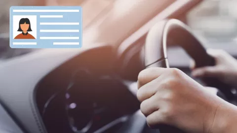 licencia de conducir