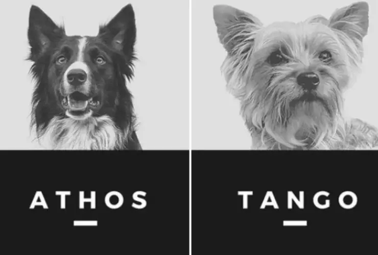 athos-tango.jpg