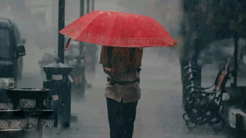 Lluvias en Veracruz